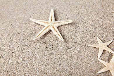 《山河伏妖录》结束抢先体验 Steam正式版发售